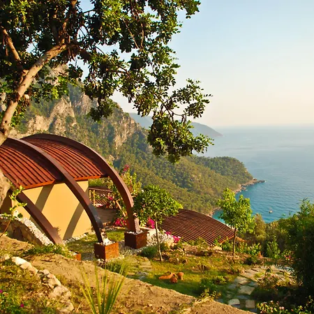 Lissiya 호텔 파랄리아