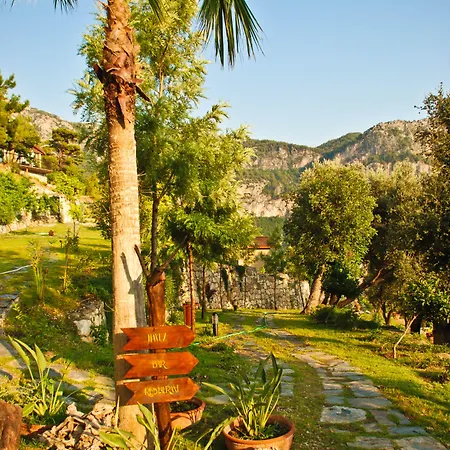 Ξενοδοχείο Lissiya 4*