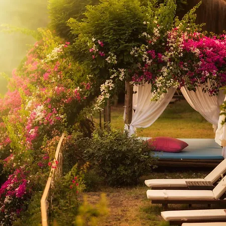 Ξενοδοχείο Lissiya Faralya