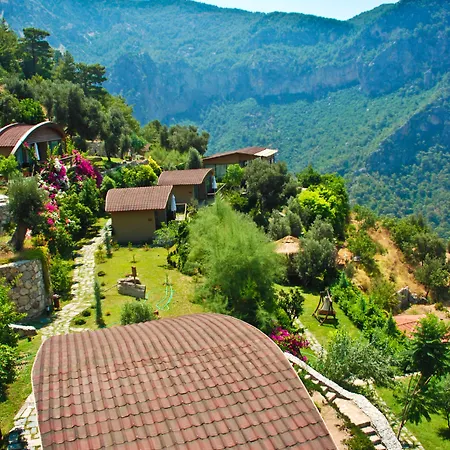 Lissiya Фаралия