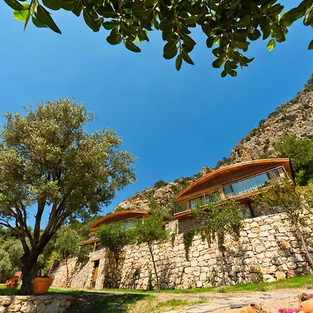 Отель Lissiya 4*